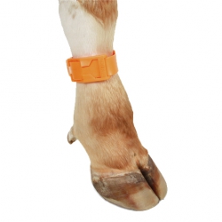 Лента для КРС маркировальная пластмассовая