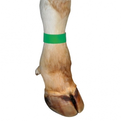 Лента для КРС маркировочная 10 шт/уп