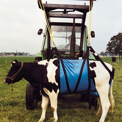 Подъемный механизм для коров, брезент
